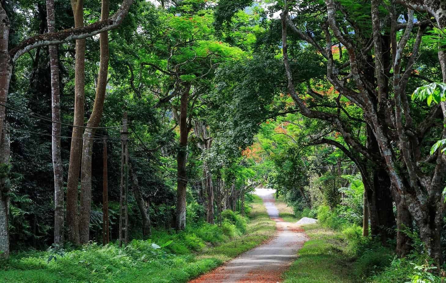 Best National Parks in Vietnam